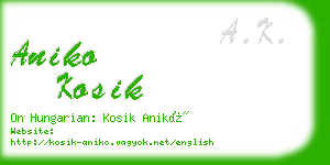 aniko kosik business card